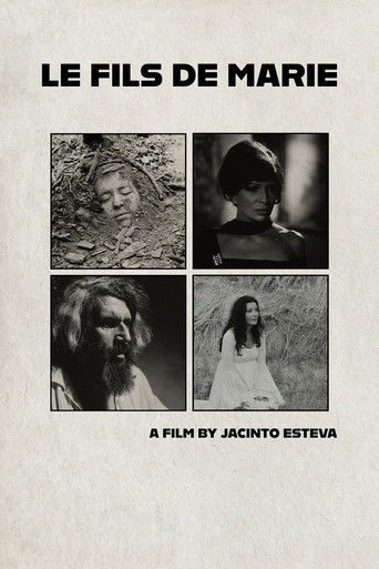Le fils de Marie