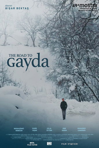 The Road to Gayda