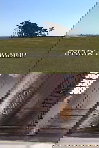 Building Images: Anna Asp on Scenography