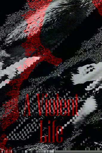 Violent Life