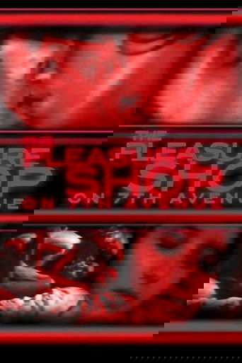 Pleasure Shop on 7th Ave.