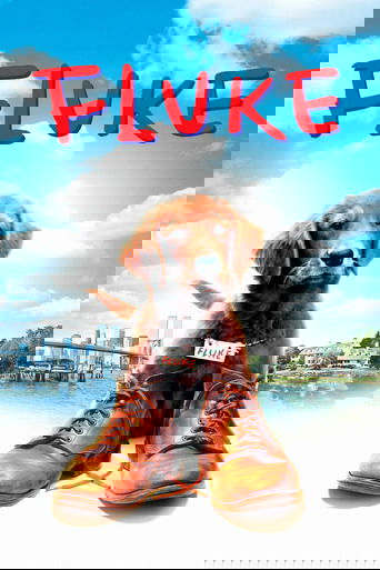 Fluke