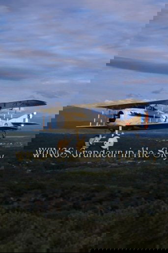 Wings: Grandeur in the Sky