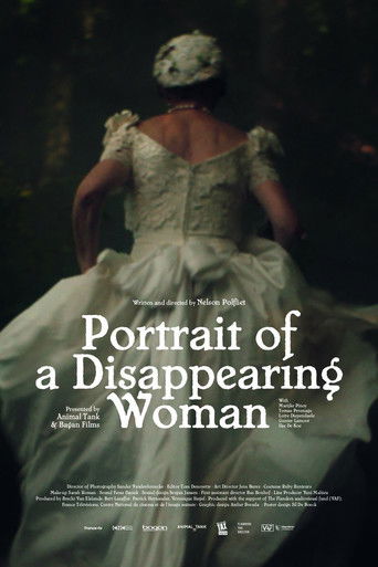 Portrait of a Disappearing Woman
