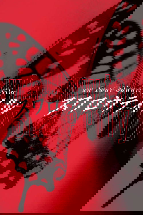 Swallowtail Butterfly